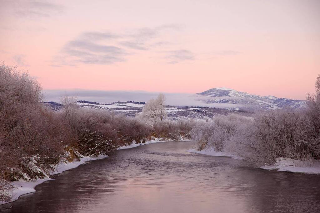 kylew01's tweet photo. Cold mornings give some nice color. https://t.co/JC1HgGM9Dk https://t.co/2iUPoTaMsP