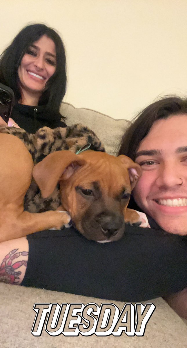max_austinn's tweet photo. One year ago today I was dying in a hospital bed, in psychosis, jaundice and my organs were failing. Today I’m sober and living a life I never could have imagined. If I can do it, so can you. https://t.co/83JoohoBQM