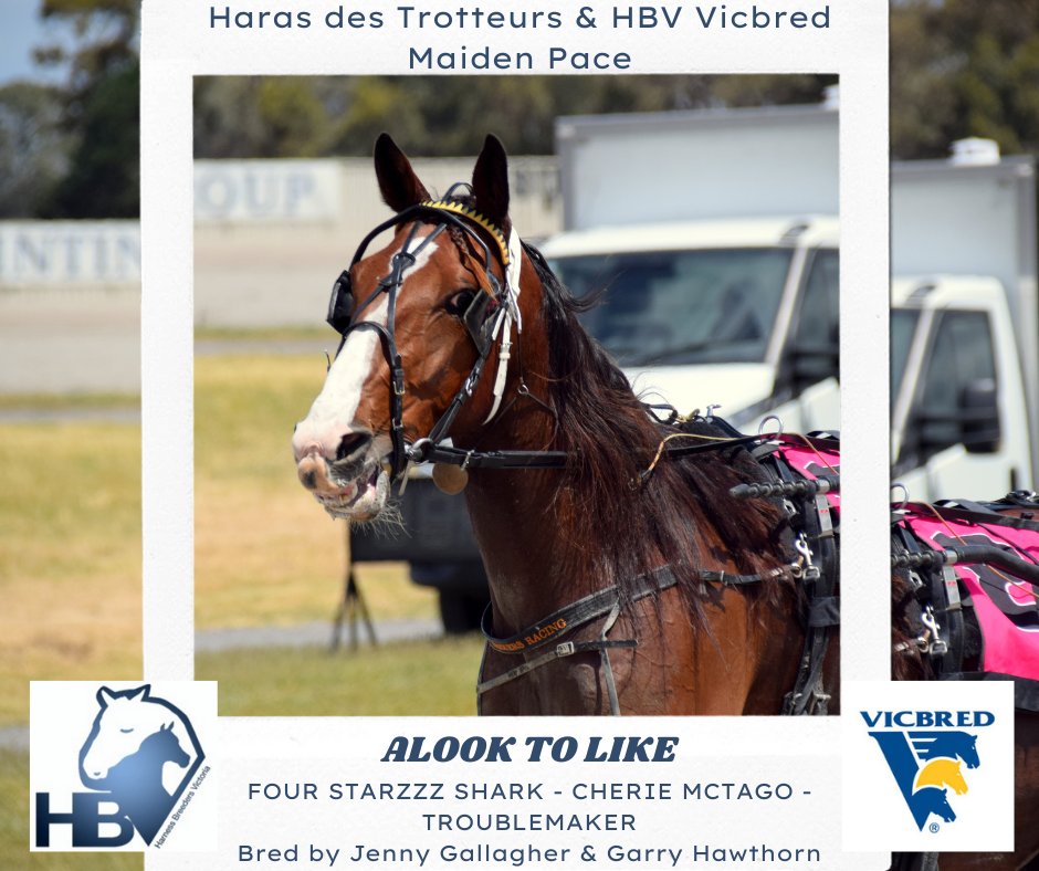 Humbletonian 2022

Australasian Young Drivers Championship Maiden Pace won by #FourStarzzzShark gelding, Alook To Like for Tayla French.