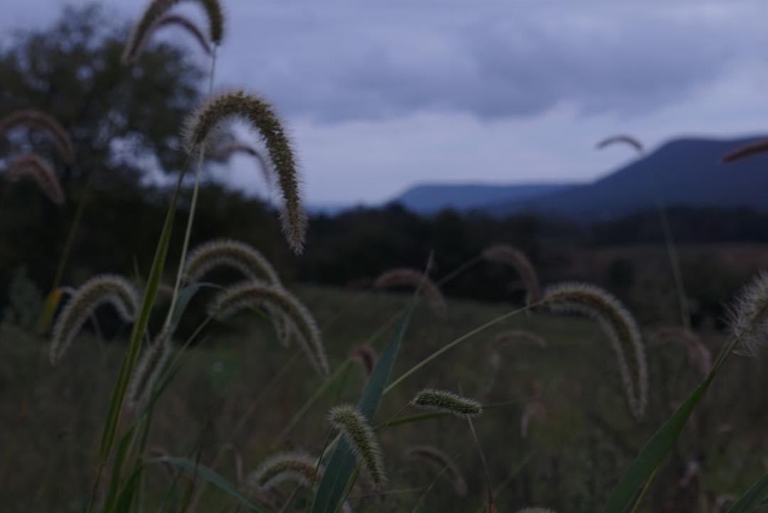 ivansnoozeMMA's tweet photo. Here’s some photos I took of my local area. https://t.co/XhzFVtlzaY