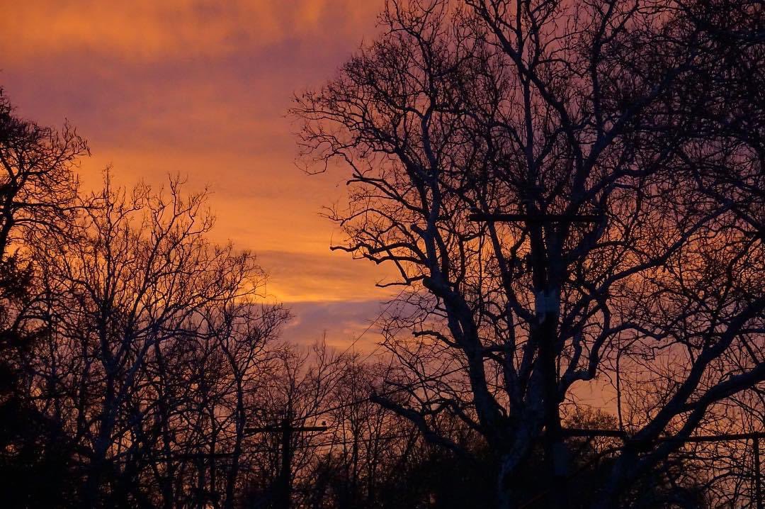 ivansnoozeMMA's tweet photo. Here’s some photos I took of my local area. https://t.co/XhzFVtlzaY