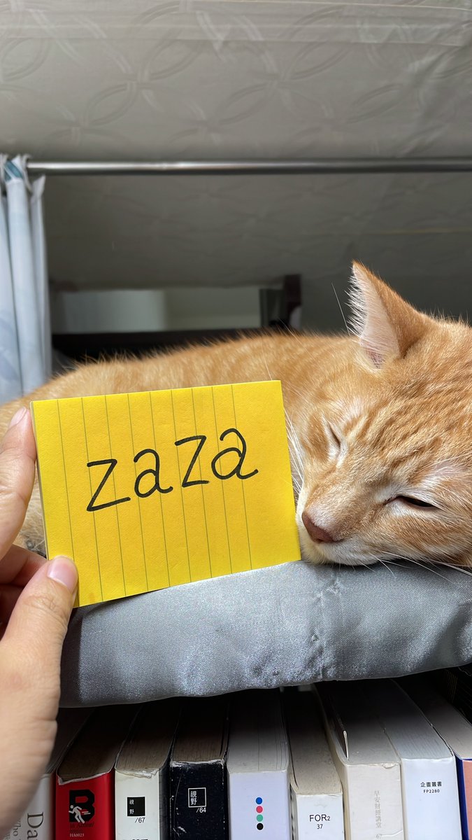 sofia_numbers's tweet photo. Preserve a Numbers domain for my Zaza 😌
@numbersprotocol
#ItsMyNumbersDomain #domains
https://t.co/tijrPi2dTK https://t.co/gN1zDoZTzH