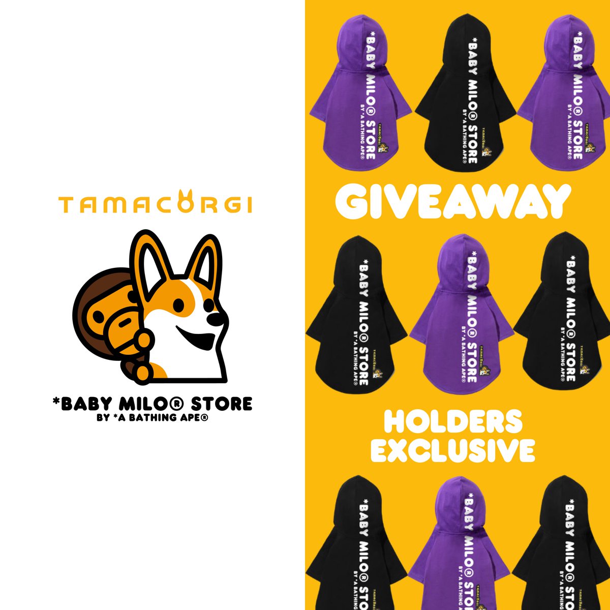 Tamacorgi tweet media