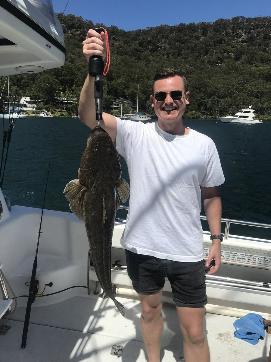 Graham0205's tweet photo. Stonka Flathead caught in the estuary this morning; 3.8kilo 79cm. Kissed and released. https://t.co/4guOwJ0rrD