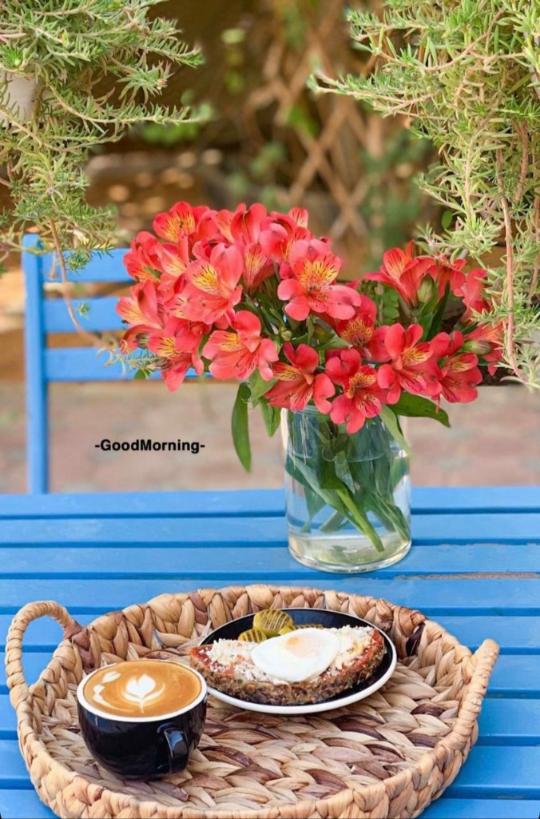 #صباح_الخيرᅠ
لو يَعلَمُ الـمَرءُ عـن تَدبِيـرِ خَـالِقِهِ
لَـهُ لَـمَـا نَـاحَ حُزنـاً أَو شَكَـا أَلَـمَـا

خَـرقُ السَّفِينَةِ كَانَ الشَّر ظَاهِـرَهُ
وَالخَيرُ فِيهِ فَسُبحَانَ الذي حَكَمَا