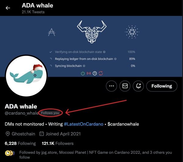 Kid_in_Crypto's tweet photo. Look who is following us! 🐳😱

@cardano_whale #Cardano #ADA https://t.co/l4B6tEWYYg
