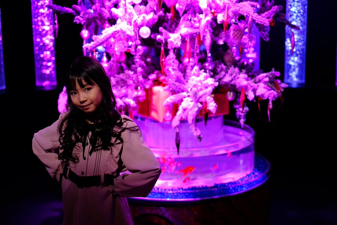 アートアクアリウム美術館 の評価や評判 感想など みんなの反応を1日ごとにまとめて紹介 ついラン