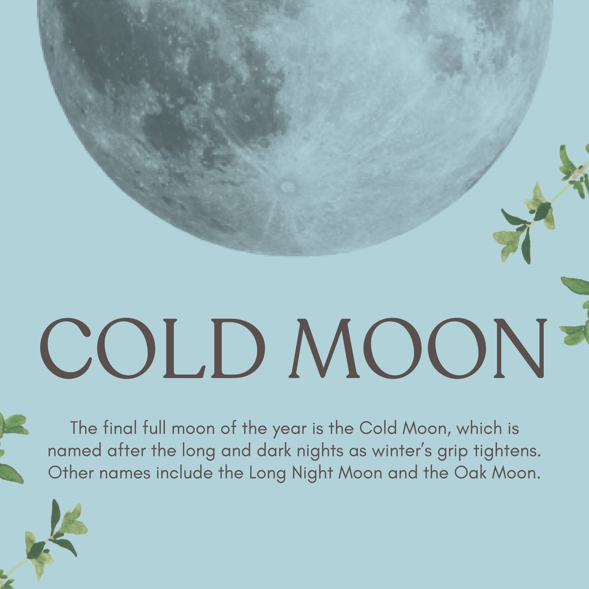 Make sure to take a look outside tonight to see the last full moon of 2022, which this month is called the Cold Moon 🌕

We can see where it gets its name from ❄️

#weleda #biodiversity #fullmoon #coldmoon #lunarcycle #naturalwellbeing