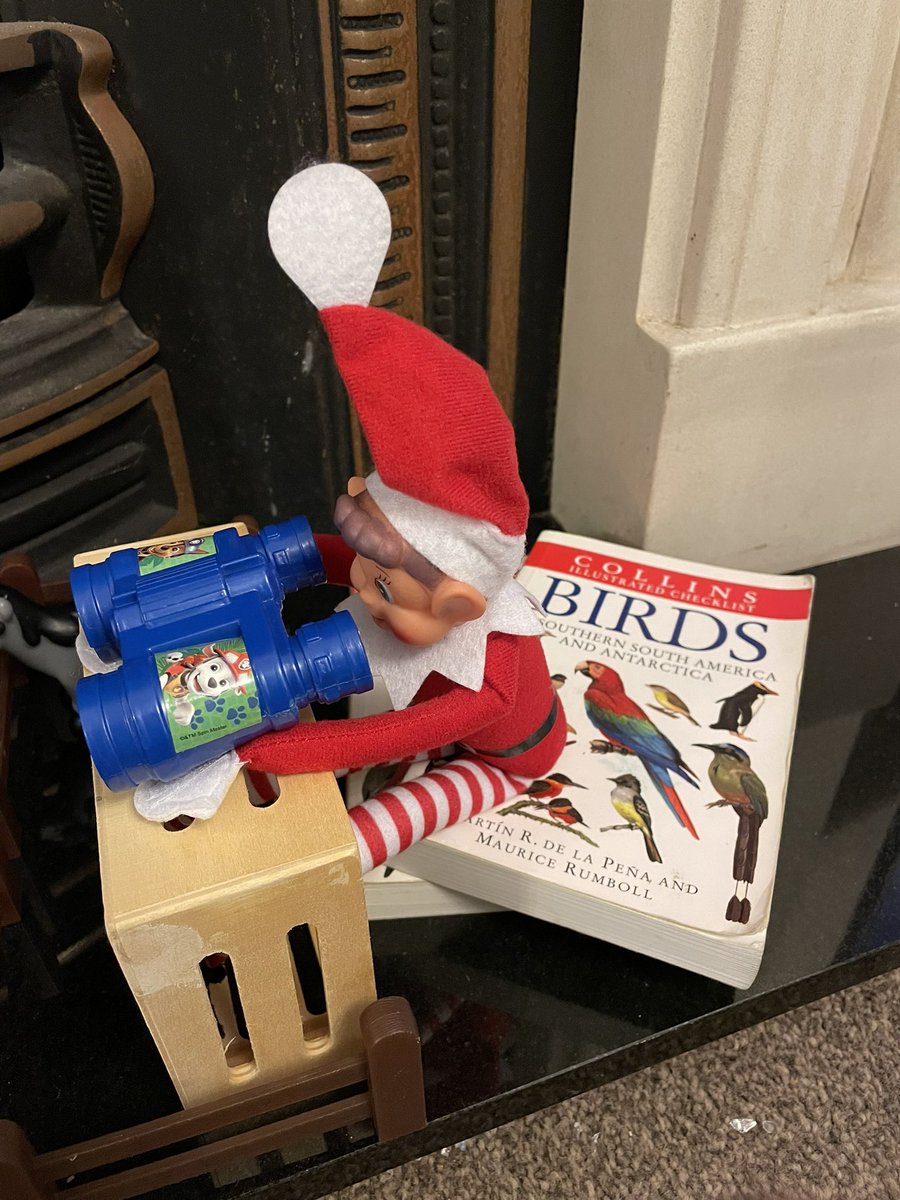 loujohnston79's tweet photo. Elf’s doing some bird watching #elfontheshelf2022 #birdwatching https://t.co/WGMnamwhXj