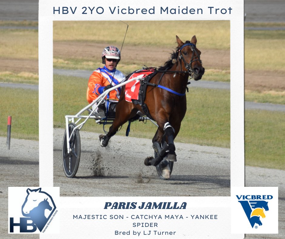 Humbletonian 2022

The HBV Vicbred 2YO Maiden Trot goes to Paris Jamilla, by #MajesticSon &amp; bred by Lyndon Turner.