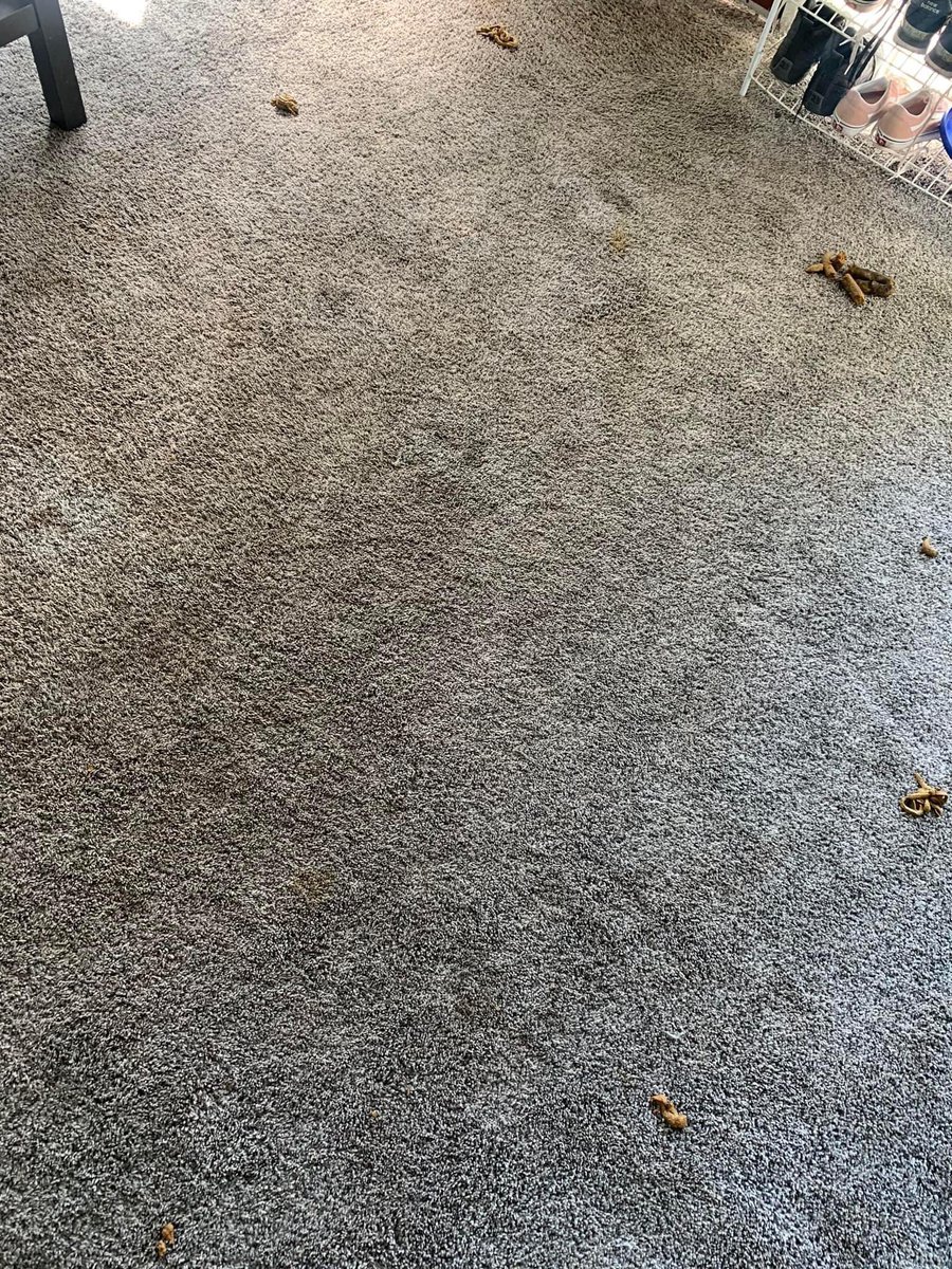 Nana Kwame Gyamfi tweet media