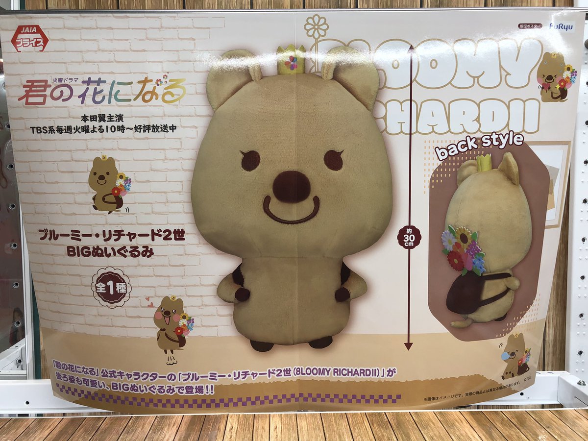 OUTLET 包装 即日発送 代引無料 君の花になる 8LOOM リチャード2世 BIG