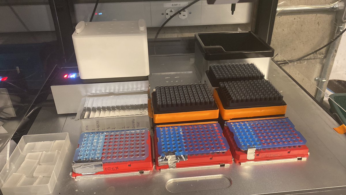 ParheliaBio's tweet photo. Automatic co-detection of couple of RNAs by sequential @ACDbio rnascope and @AkoyaBio CODEX with Parhelia OMNI-stainer. https://t.co/vjf6WKIB9I