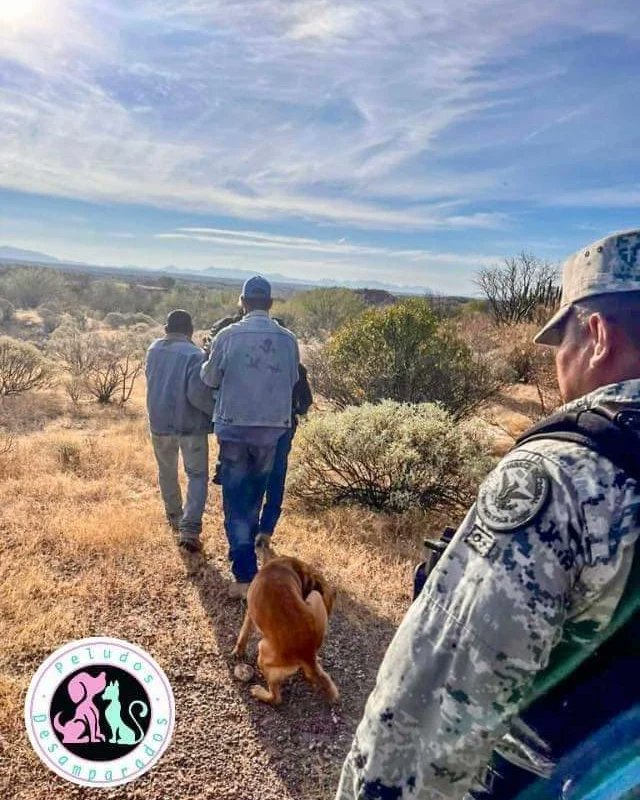 Impulso Pro Animal tweet media