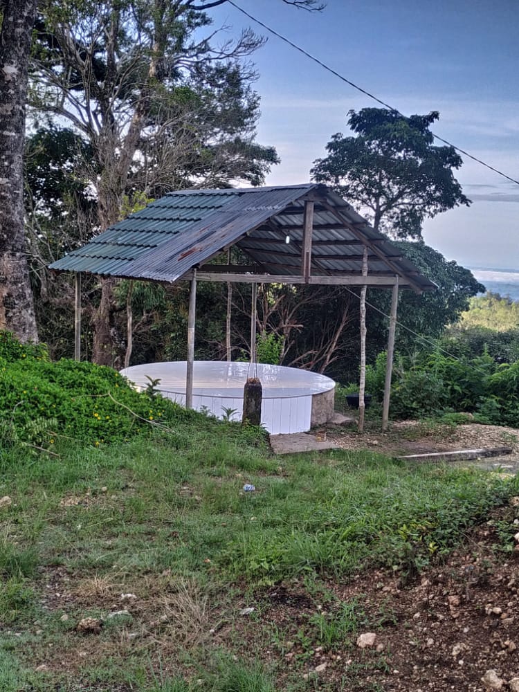 NovaldiOne's tweet image. 