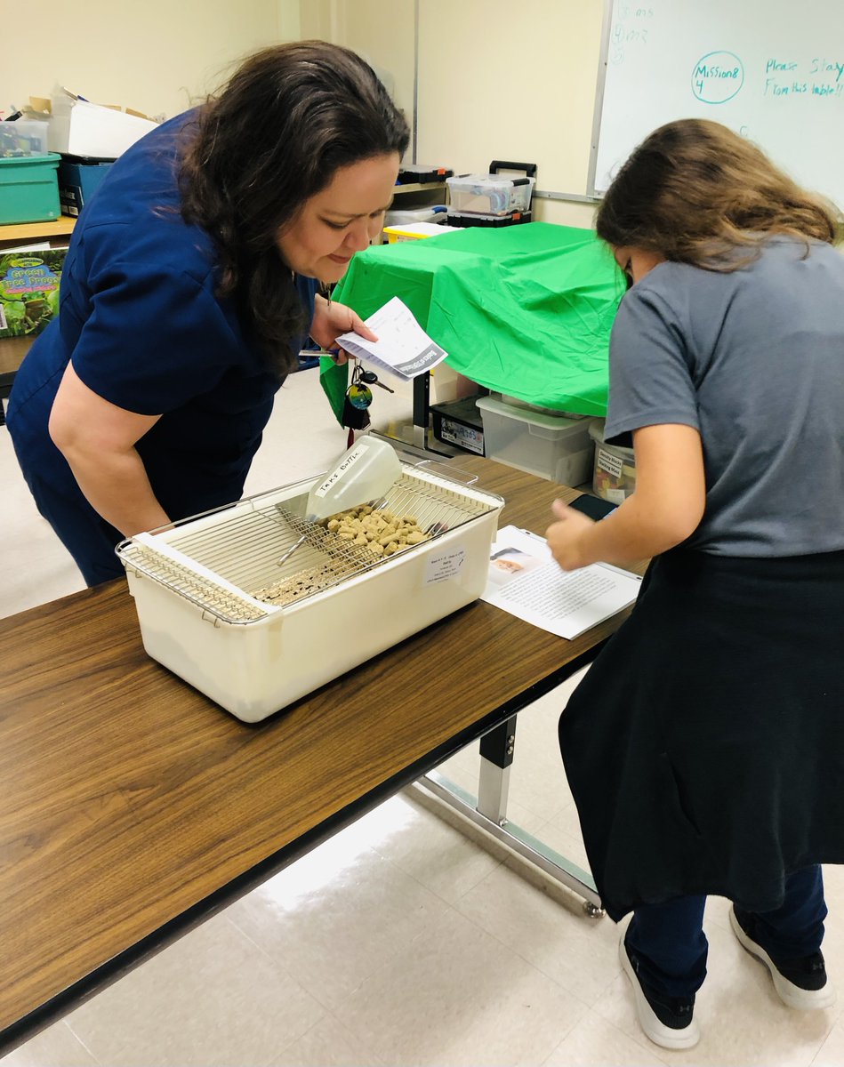 Mary Hull (@nisdmaryhull) on Twitter photo Roadrunner STEM night was filled with students and parents learning about animals, coding and so much more. <a href="/HWebbTeach/">Hillary Webb</a> Roadrunner STEM night was filled with students and parents learning about animals, coding and so much more. <a href="/HWebbTeach/">Hillary Webb</a>