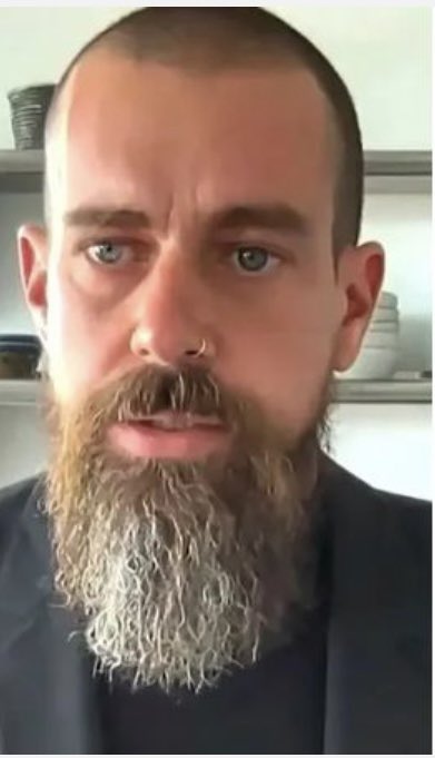 NYjared54's tweet photo. Who wears it better @jack or our @apocalypticapes #bearded #beardedape #AAPES @elonmusk @Fityeth @AAPEQueens https://t.co/U73eKACexd