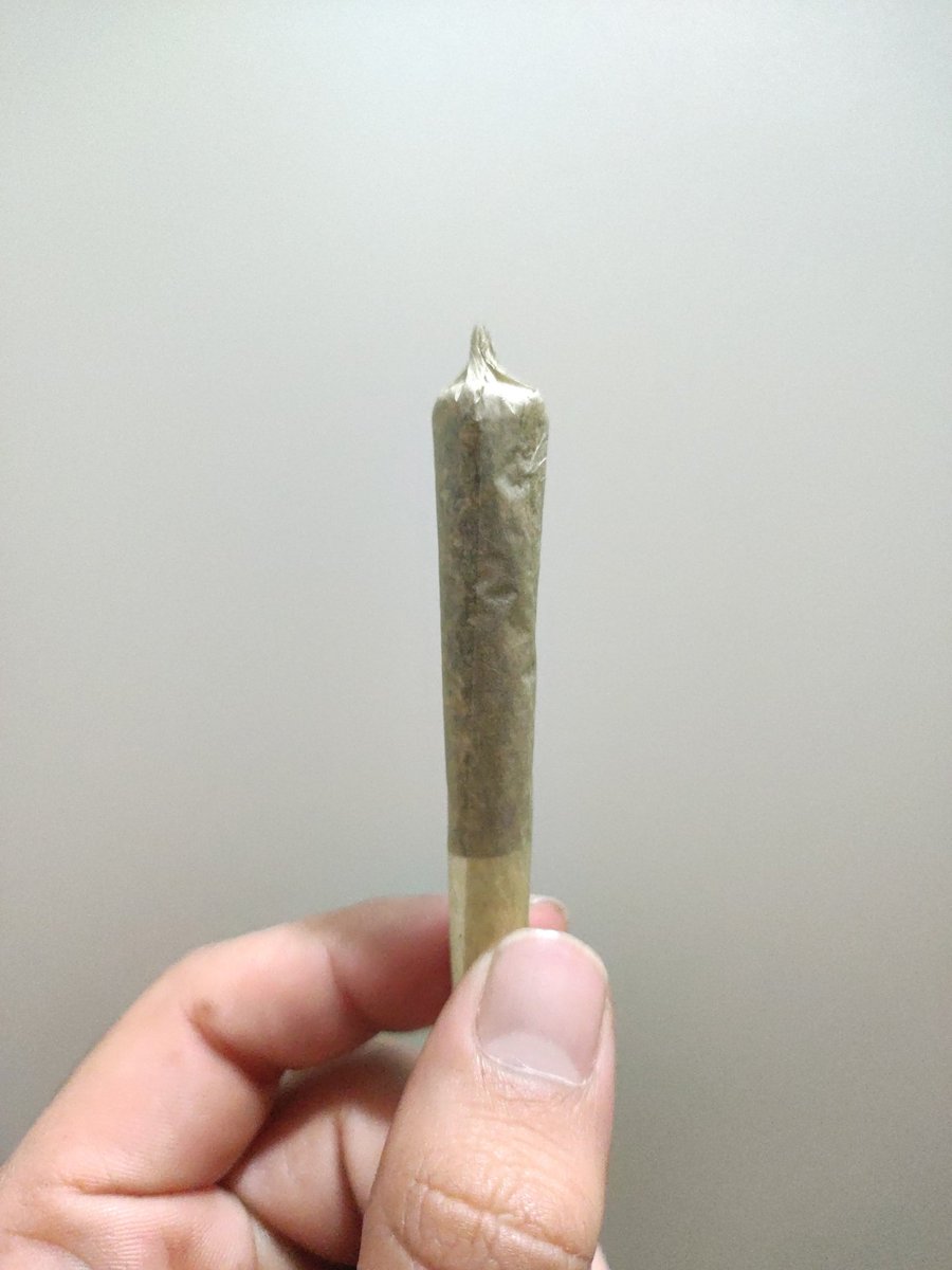 AlexGrowerMx's tweet photo. Un porro de #Gelato con un poco de #JetFuel para terminar el día 🔥
Buenas noches y #BuenosHumos #420 https://t.co/iJERtCyn7y