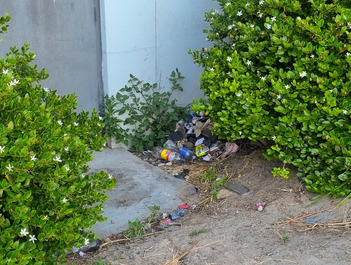 Johan Marais 🇿🇦 tweet media