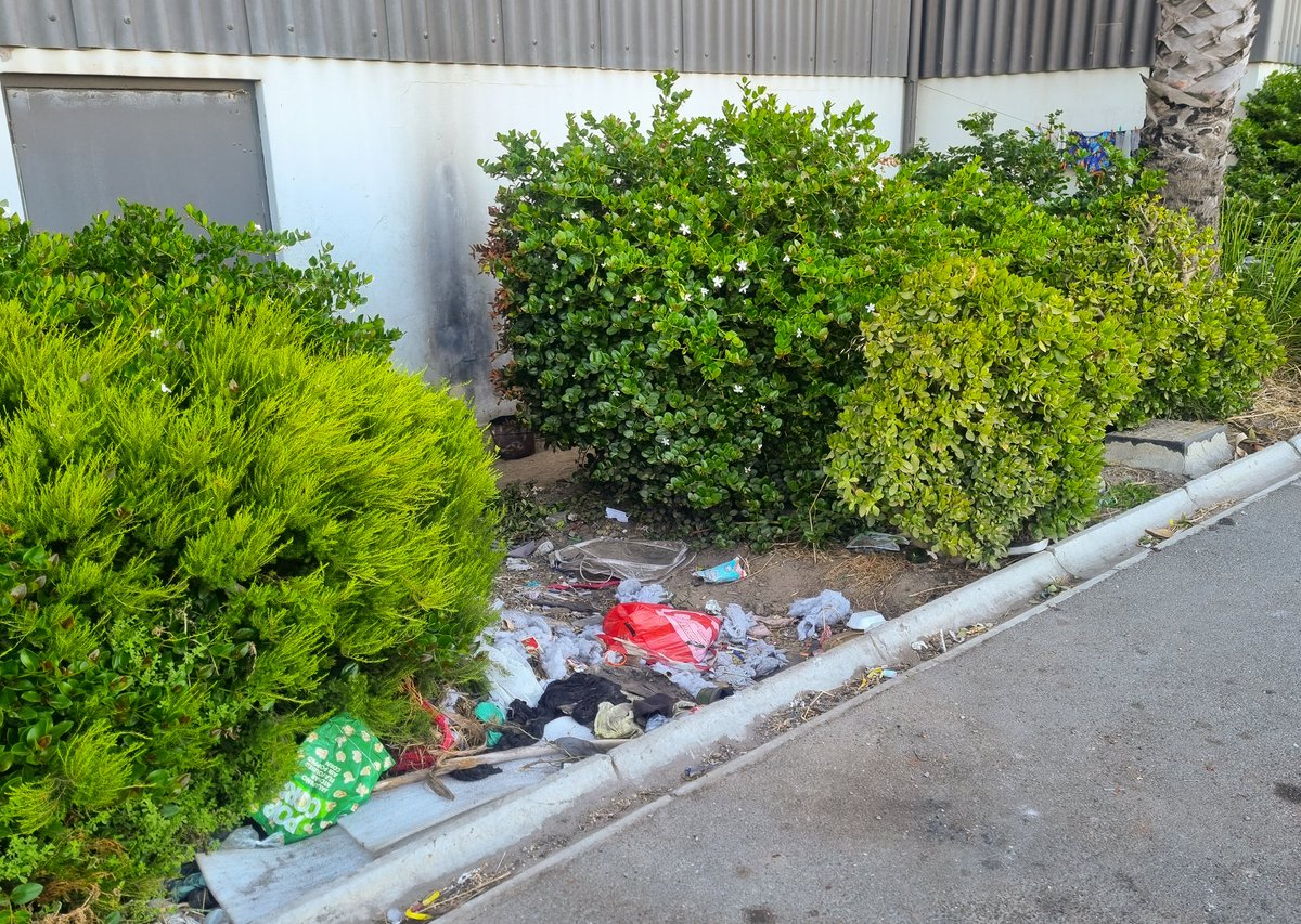 Johan Marais 🇿🇦 tweet media