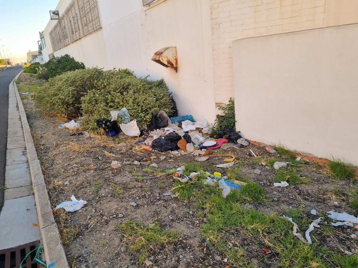 Johan Marais 🇿🇦 tweet media