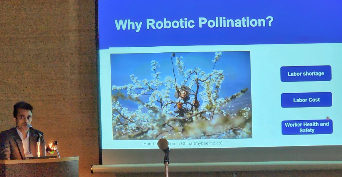 WSU <a href="/WazzuCpaas/">WSU CPAAS</a> director Dr. Qin Zhang giving a plenary talk on #AgCybernetics at <a href="/CIGR1930/">CIGR</a> world congress here in Kyoto, Japan. Our #AgRobotics work was well represented with additional presentations by <a href="/uddhavbhattrai/">Uddhav Bhattarai</a> on robotic thinning and by @RanjanS81364188 on pollination.