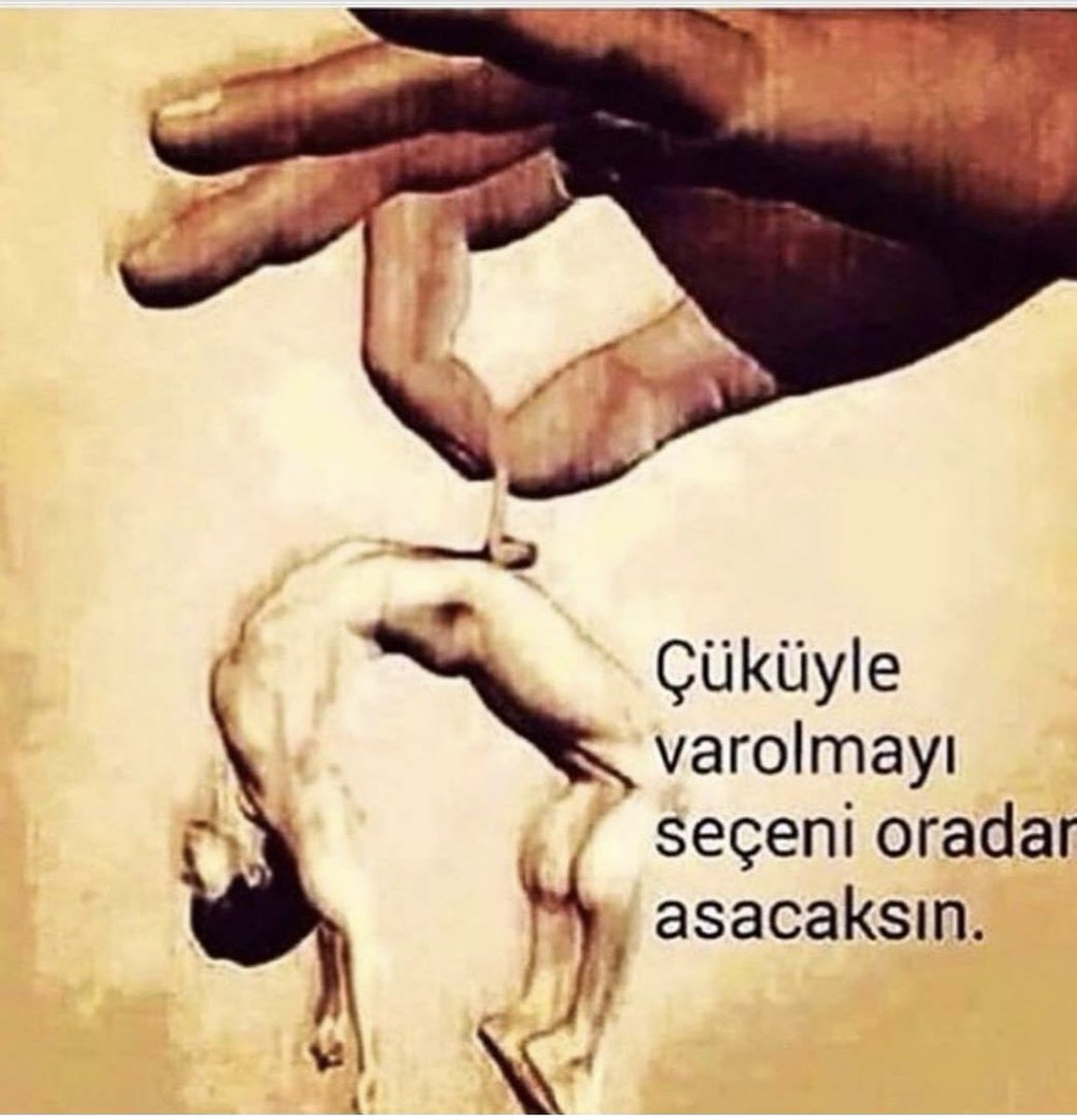 bingoelo's tweet photo. Allah sizin gibi yaratıkların belasını versin pisliginizde bogulun😡6yaşinda bir cocukga bu gözle bakanlar gözleriniz cıksın.sizin hiçmi Evladınız, Torunun, yegeniniz yok.#MustafaKemalAtatürk #ALLAHBELANIZIVERSIN #cocukgelin #TarikatlarveCemaatlerKapatılsın #TarikatlarKapatılsın https://t.co/mukBch4zXU