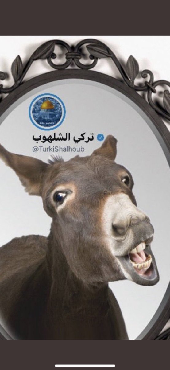 ffaaz20's tweet photo. @TurkiShalhoub تم توجيه المدعو تركي و من على شاكلته للحديث عن الصين في ظل زيارتها الحالية للعظمى السعودية ، مجرد أَدوات تُدار على حسب الأَحداث ومحاولة استمالة العواطف ،الزعماء يأتون للرياض واحداً الى الآخر وهذا لا يروق لهم ، أَهلاً بالرئيس الصيني نحو الشراكة وتعزيز العلاقات https://t.co/w5vSQGPNpL