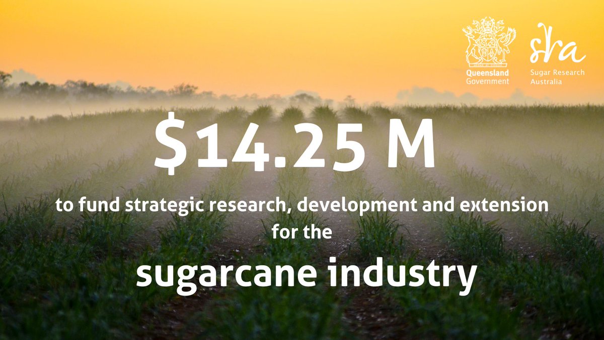 Sugar Research Australia tweet media