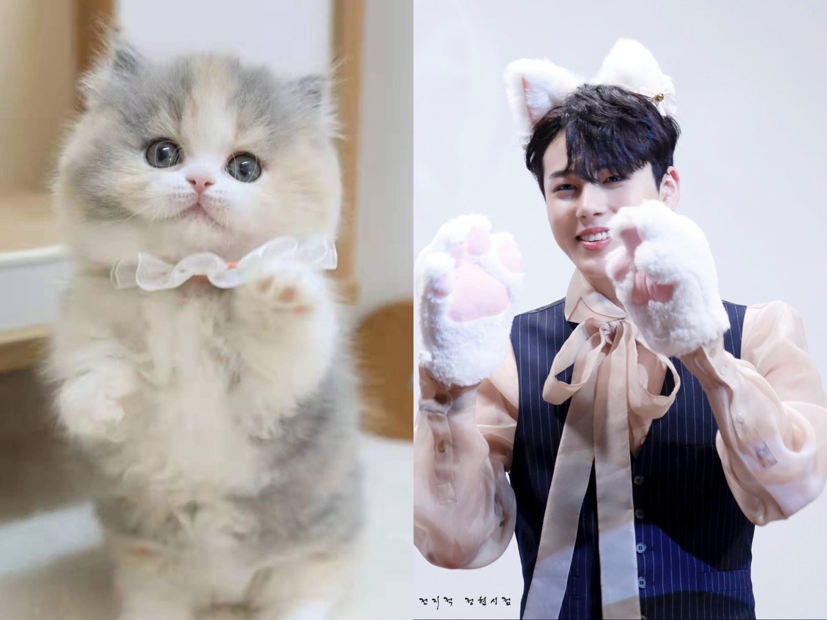 TidalLock_mm's tweet photo. 猫塑儿儿③

#정현 ＃이정현 #Junghyun https://t.co/I8SQqiDWr7
