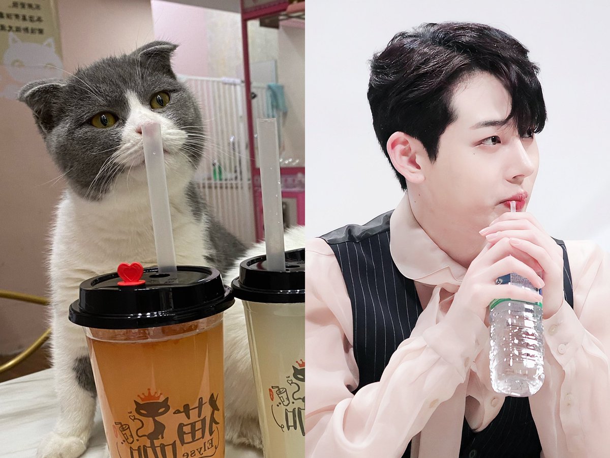 TidalLock_mm's tweet photo. 猫塑儿儿③

#정현 ＃이정현 #Junghyun https://t.co/I8SQqiDWr7