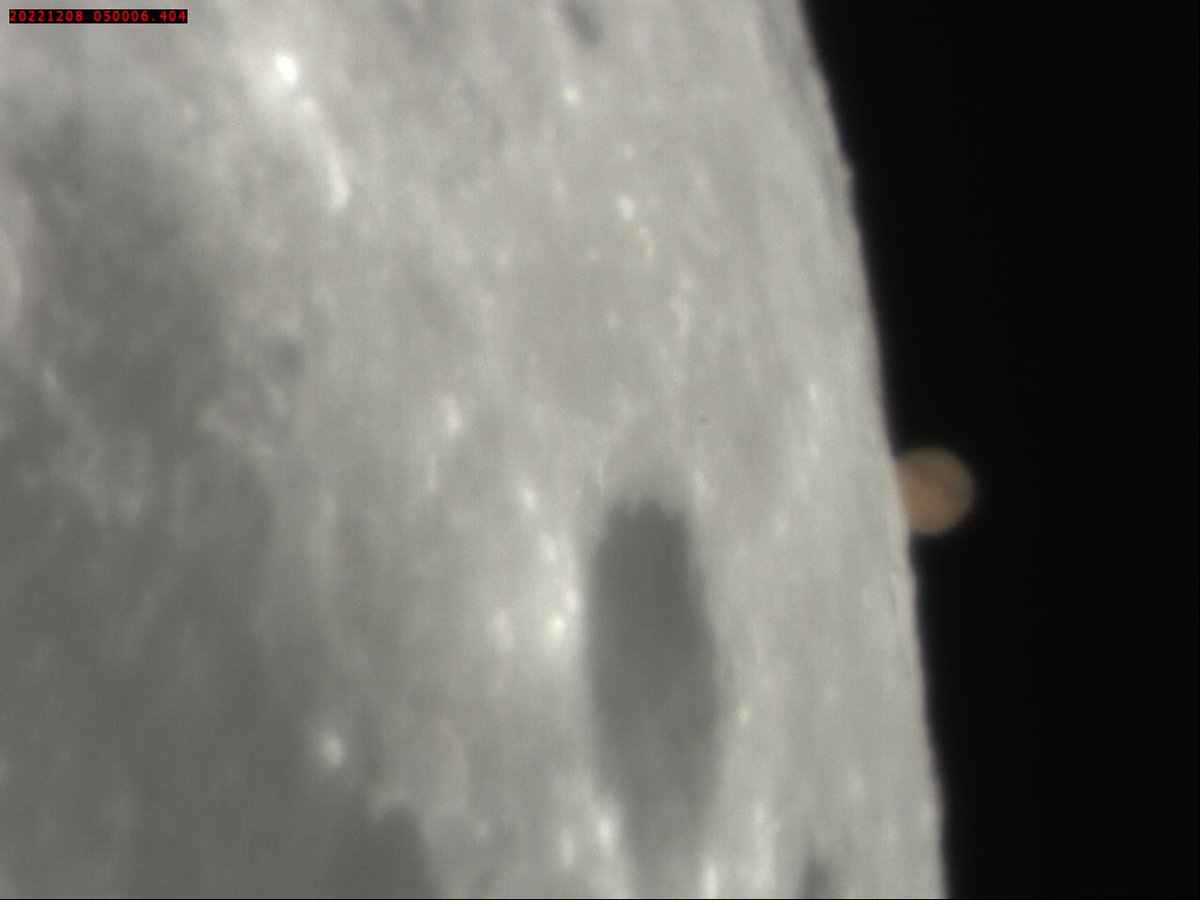 David Arditti tweet media