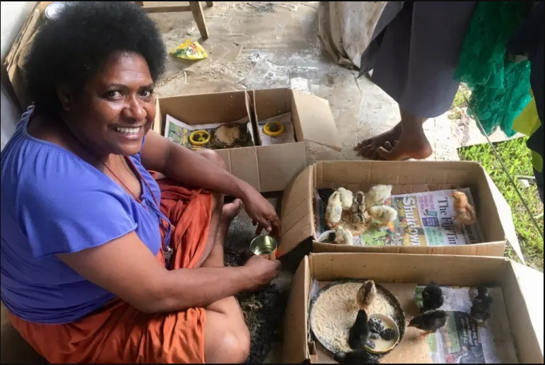 Peter Roberts tweet media