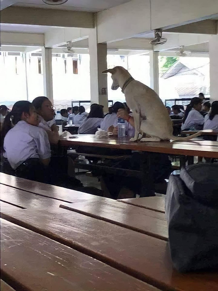 จะให้กุกินดีๆปะ55555