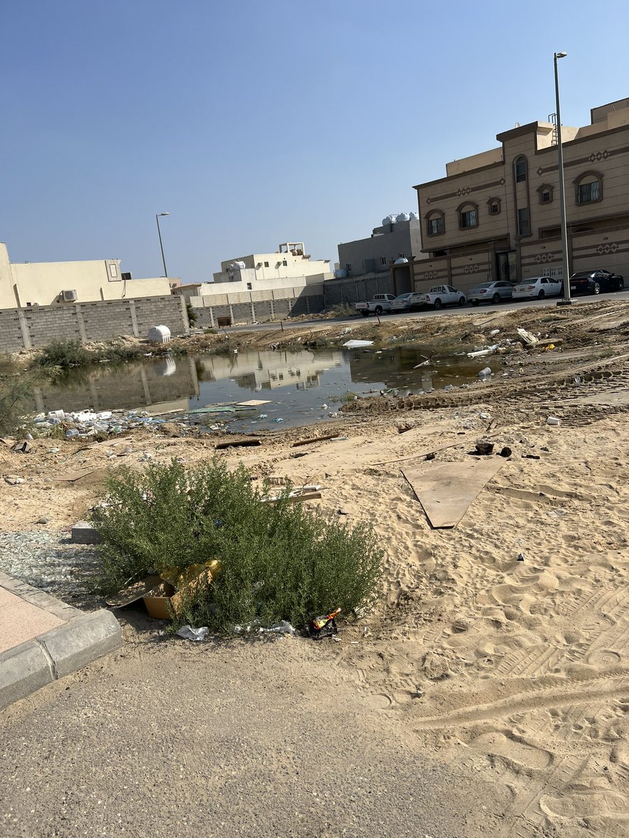 HAKAMI_AM430's tweet photo. @majedhogail @EasternEamana @WestDammam_Mun ياليت تخصص ميزانية وقبل الميزاني ناس اكفاء في البلدية يتابعون المشاريع، حي ضاحية الملك فهد بالدمام حي وسخ بكل ماتعنية الكلمة، انتشار للمستنقعات والفئران والبعوض والشوارع لاتستطيع المشي بها حرفيا، الموضوع له سنين طويلة والبلدية والامانة تتفرج. https://t.co/aTDflyCHOs