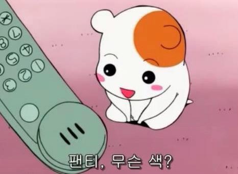 나는 살구색

#시디 #cd #여장 #멜섭