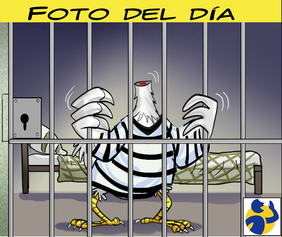 elmontonero_pe's tweet photo. #CaricaturaEM #ElMontonero
#FotoDelDia #ElPolloAtrapado #PedroCastillo #Vacado #Expresidente 
Para más #Editoriales | #ColumnasdeOpinión
#Caricaturas | #Entrevistas
Síguenos en:
FB: https://t.co/8BN6IGbDMU
Youtube: https://t.co/x2WH9DgOHF
Más Artículos: https://t.co/4sbQL4kPSo https://t.co/AdsuNeBH2X