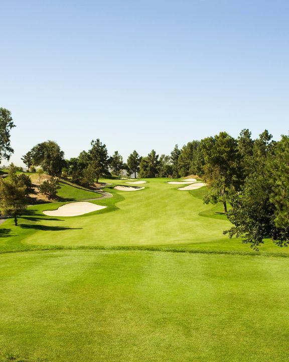 Me and My Golf tweet media