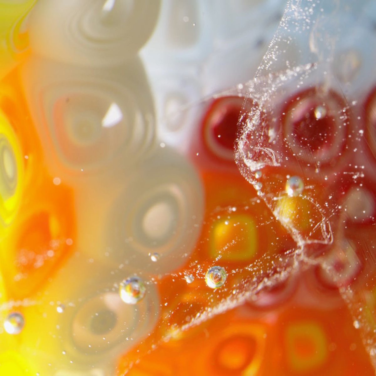 HGibsonGlass's tweet photo. The smallest details…
Over The Rainbow 

The Glass Art Fair @HabatatDetroit 

#InternationalYearOfGlass
#IYOG
#IYOG2022
#HomoFaber
#HomoFaberWay
#Glass
#Art 
#Materiality 

📷 Richard Foot @RACollaboration https://t.co/CxsfP6lYKx