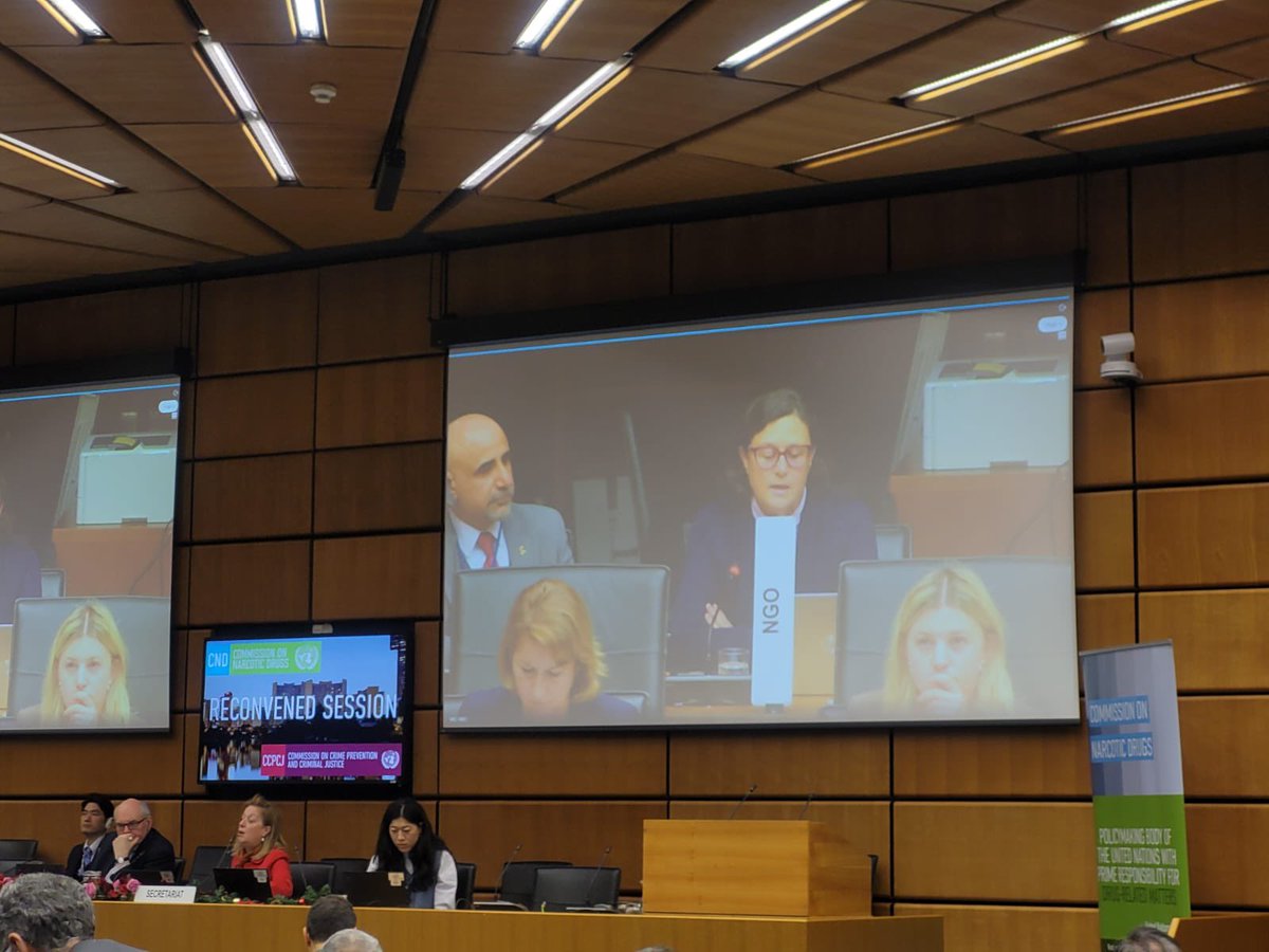 Vienna NGO Committee tweet media