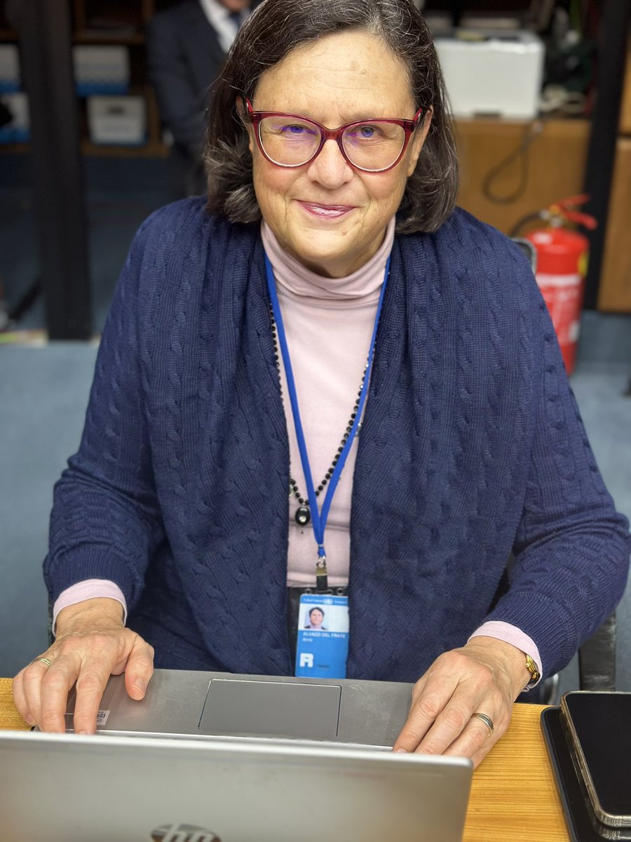 Vienna NGO Committee tweet media