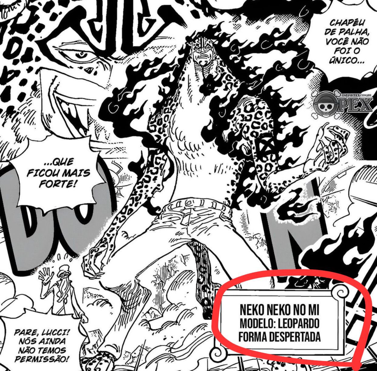 Afinal, a Akuma no Mi do Kaido já despertou em One Piece