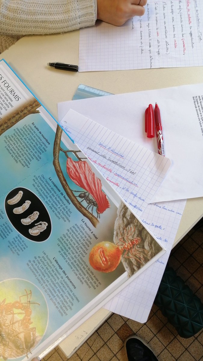 En pleine recherches sur les fourmis pour notre article du projet des twiitclasses. <a href="/JdTwittclasses/">Le Journal et la Radio des TwittClasses</a>