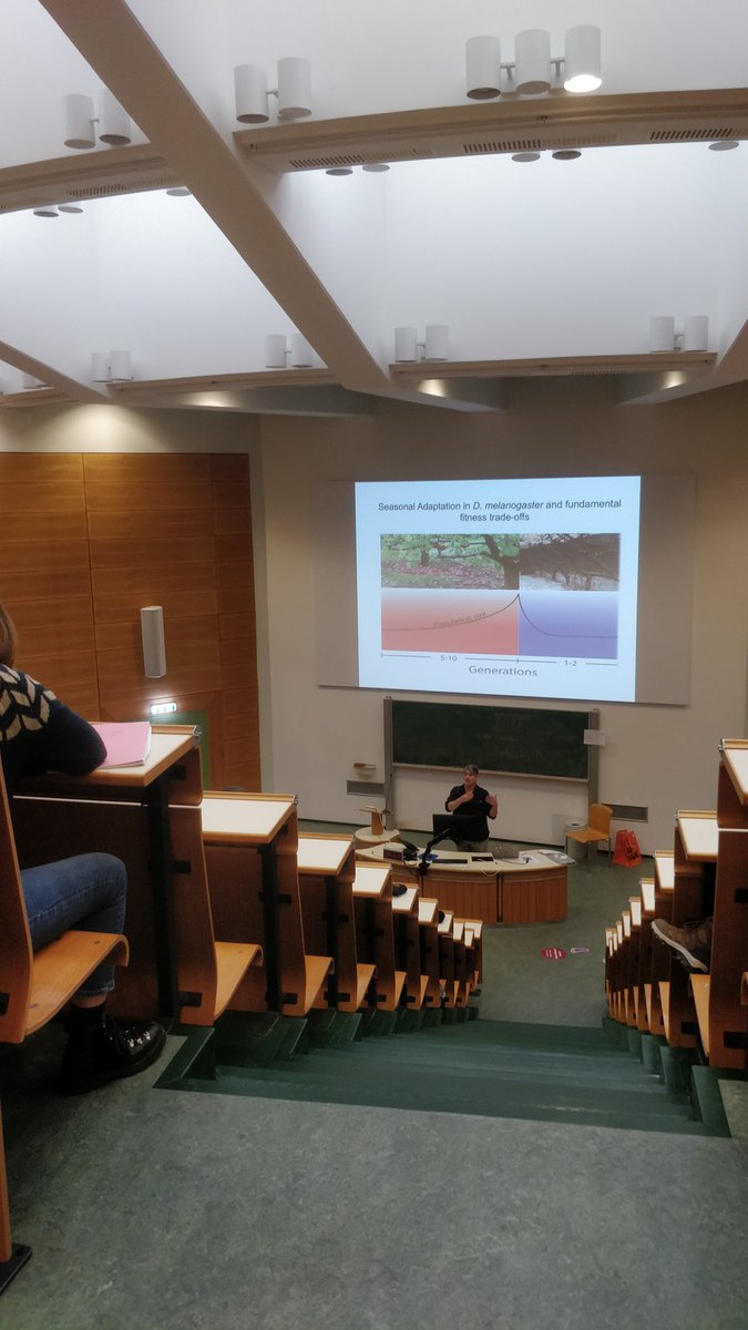 sduarrir's tweet photo. @paulrschmidt is finishing the lectures for today talking about rapid adaptation in Drosphila 🪰🧬🌳 
#EECV22 https://t.co/3xjYkAJR44