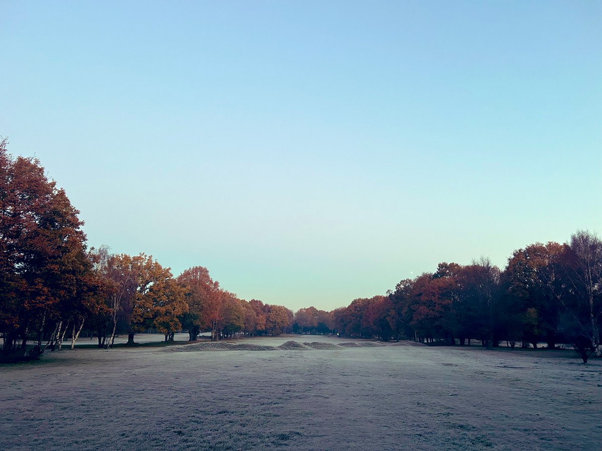 Show me a golf course with more leaves still on the trees than here <a href="/LangleyParkGC/">Langley Park GC</a> … hurry up and fall! #oaktreeproblems