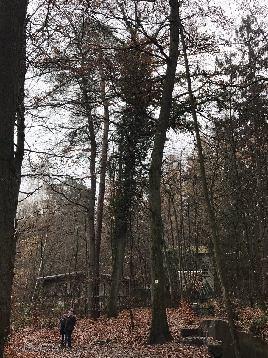 Tιɱ Sƈαɾɾσƚƚ tweet media