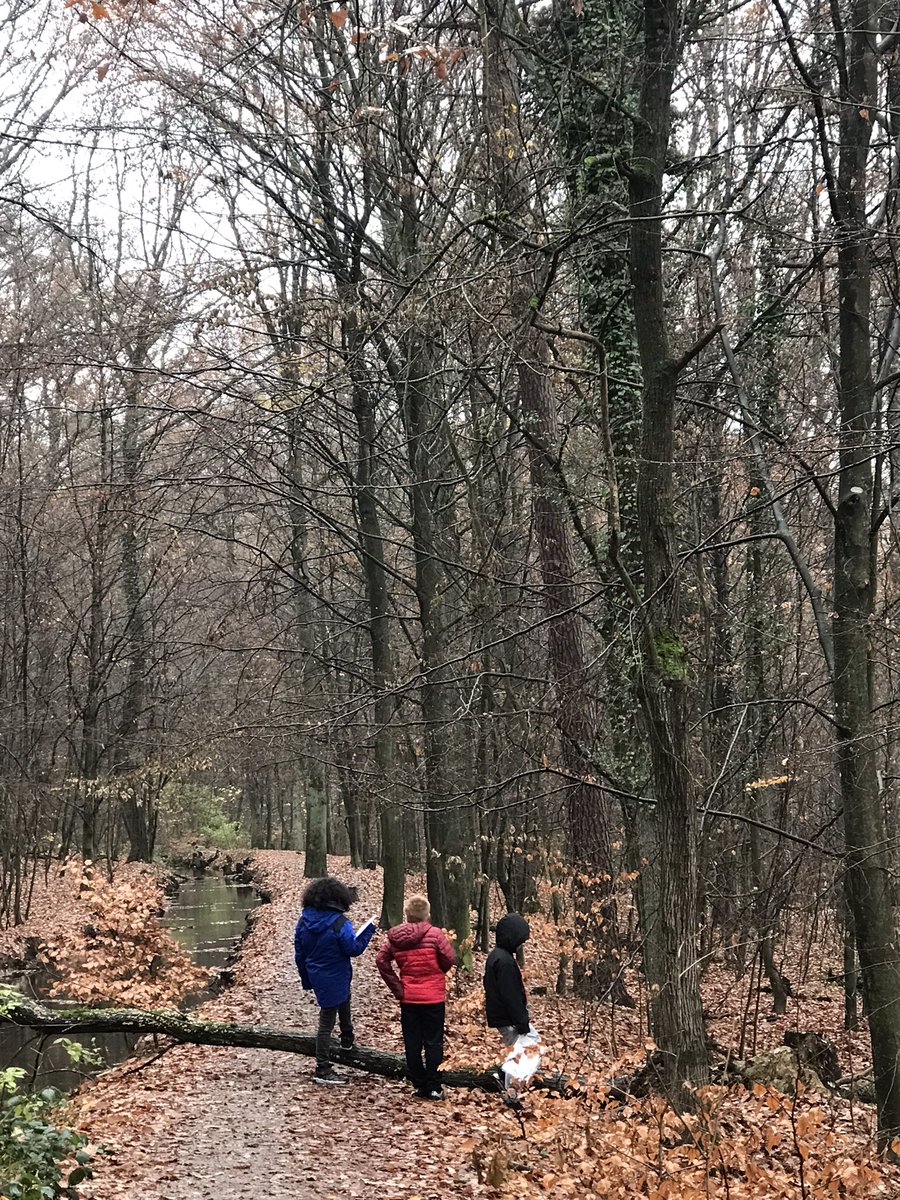 Tιɱ Sƈαɾɾσƚƚ (@timjscarrott) on Twitter photo Love exploring and connecting with our natural surroundings, learning with G5 students about the importance of mapping, engaging in mirror walks along the way 🌲<a href="/FIS_School/">Frankfurt Int School</a> Love exploring and connecting with our natural surroundings, learning with G5 students about the importance of mapping, engaging in mirror walks along the way 🌲<a href="/FIS_School/">Frankfurt Int School</a>