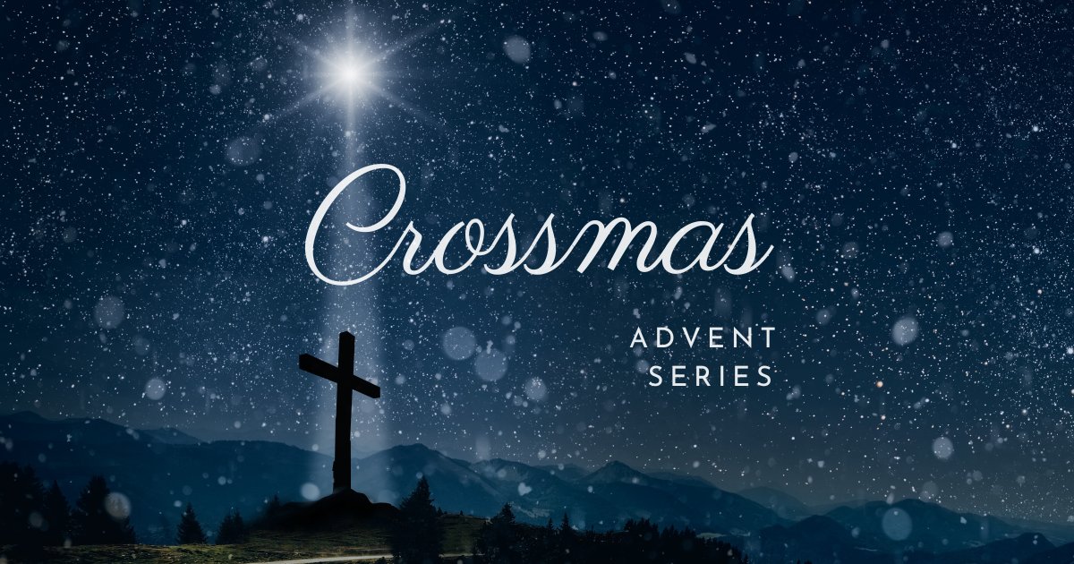 trinitywestsb's tweet photo. Join us for a new advent series in Romans chapter 8! We will also be holding a Christmas Day service at 10:30am.

We meet each Sunday, 10:30am at the Edward Woods Community Centre, 60 Norland Road, W11 4TX.

Our Carol Service is this Sunday 11 December at 4pm. All are welcome! https://t.co/o9yBsftUdZ