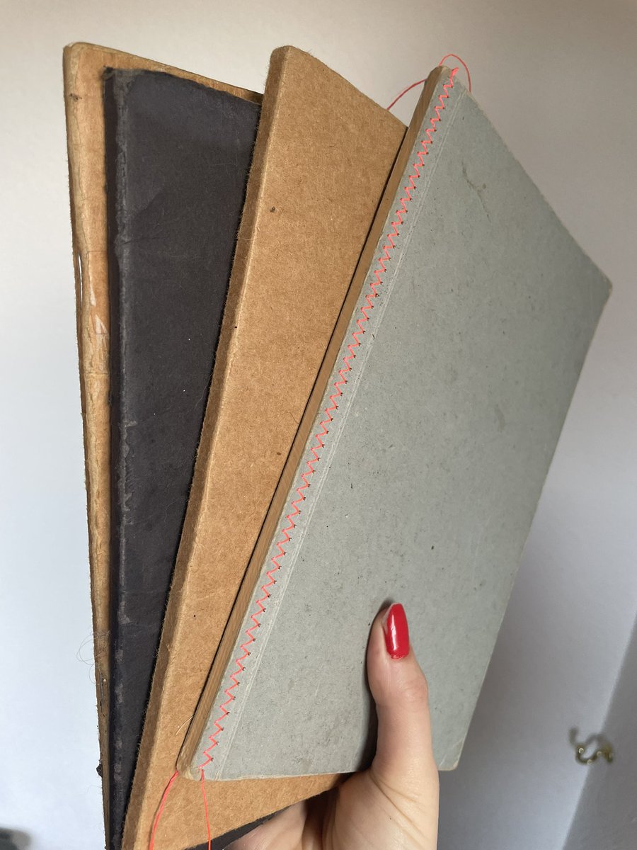 Sanne ten Wolde tweet media