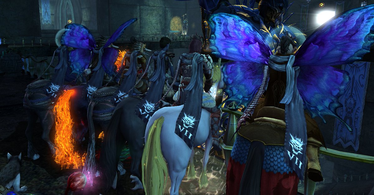 Strimtom tweet media